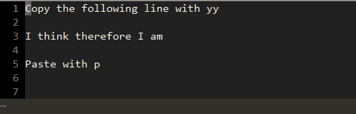 Failed to copy text. Vim copy paste.