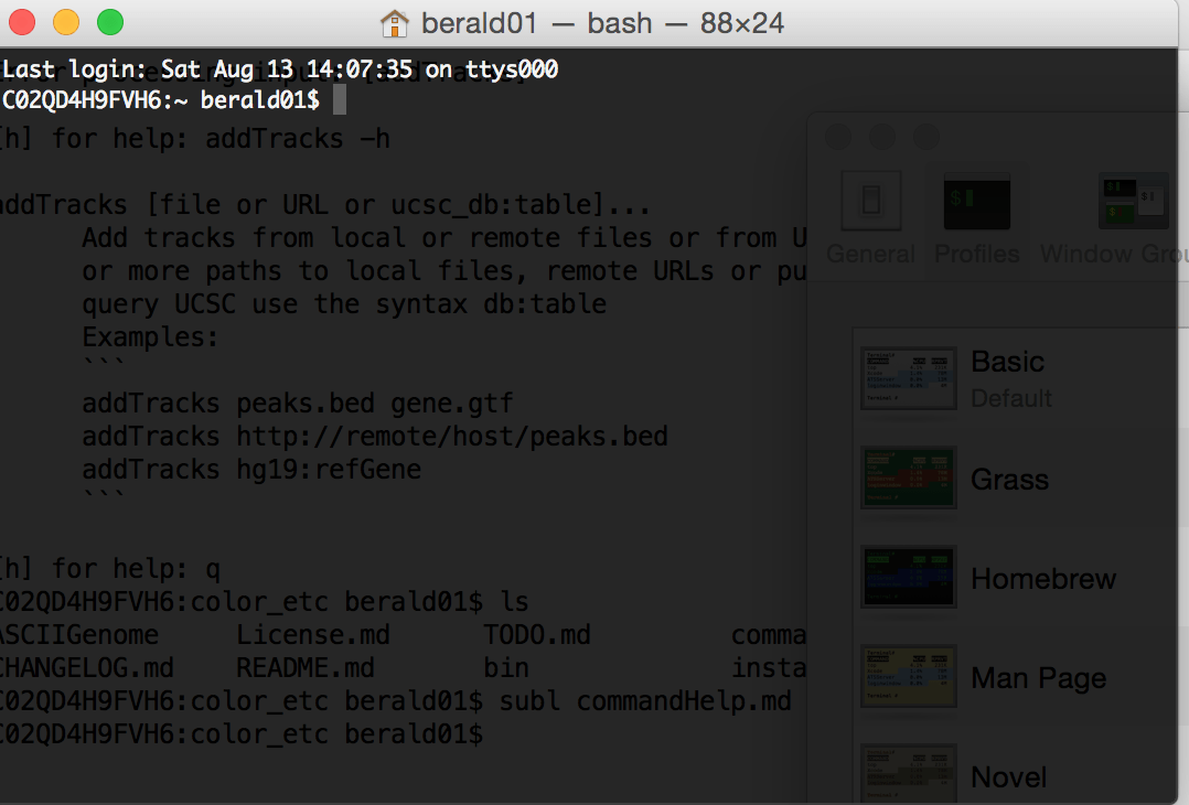 Dterminal jline false