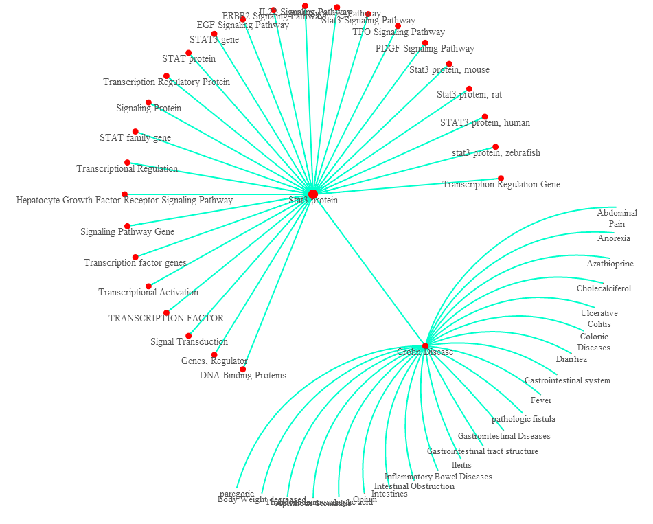 JavaScript InfoVis Toolkit беспорядок