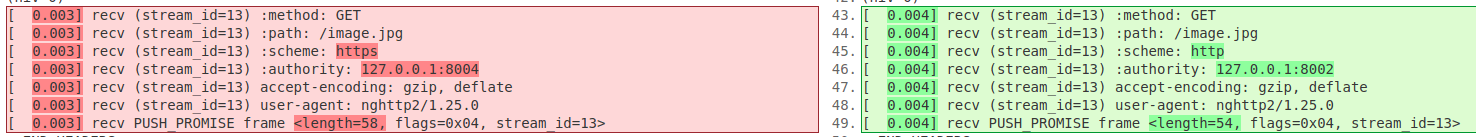 diff запросов nghttp