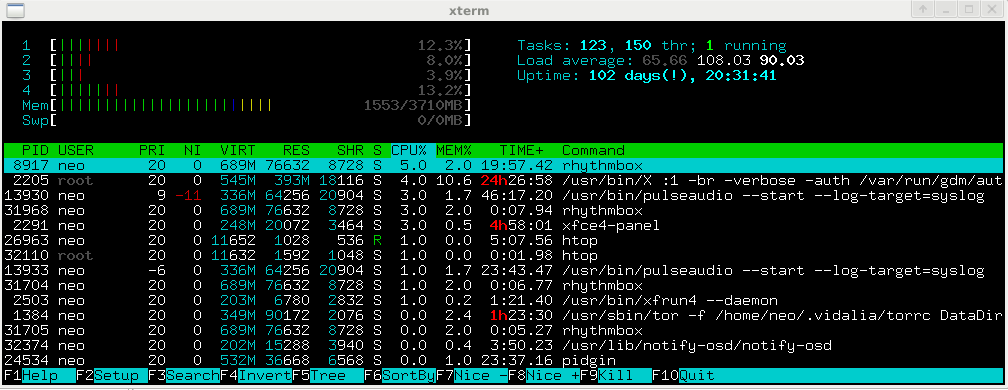 Htop, показывающий вычислительную нагрузку