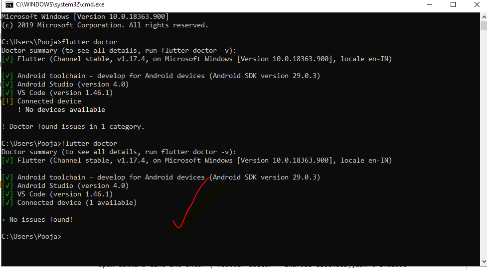 теперь введите (Flutter doctor) без скобок.
